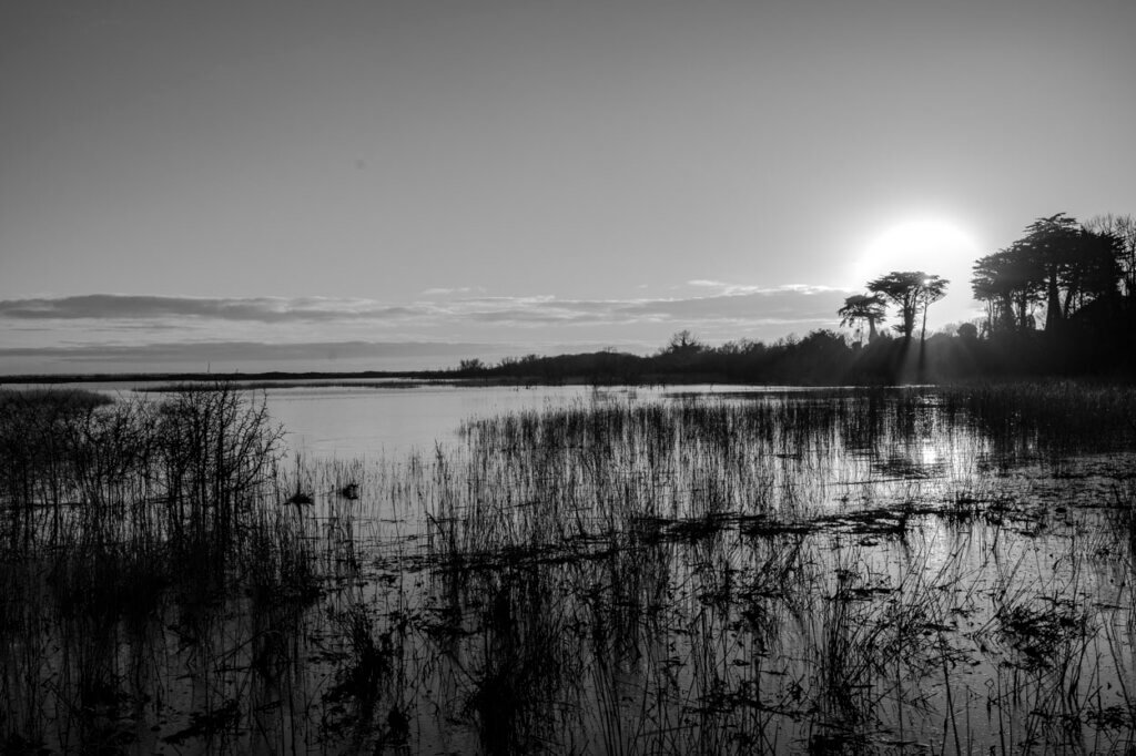 Les étangs de Suscinio inondés d'eau et de soleil.